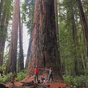 Meet your Posher, Walter